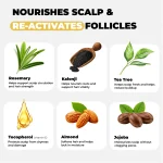 ScalpHeal Science-Backed Botanical Scalp Repair and Follicle Support Oil - Image 5